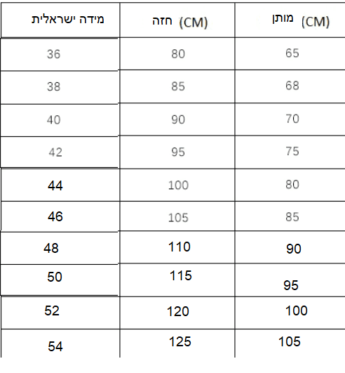 בגד ים שלם מחטב ומקטין מידה בגימור אופנתי של מעצב ניו יורקי ללוק נשי מהפכני - לה איסלה